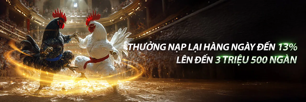 Đá Gà Trực Tuyến 789b3 nhà cái